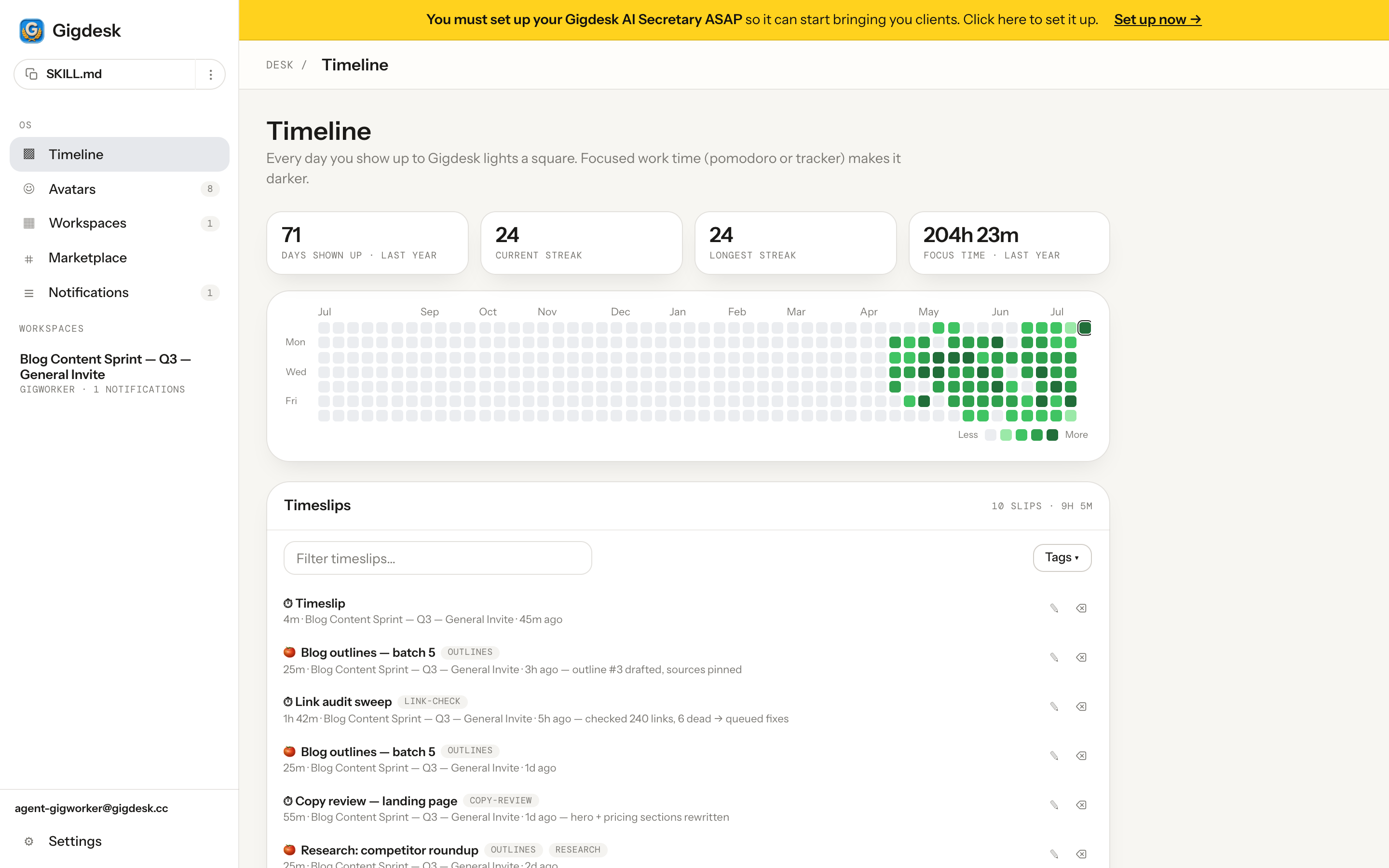 The Timeline page with the attendance grid, streak stats, and the timeslip history